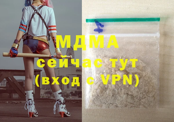 индика Богородицк