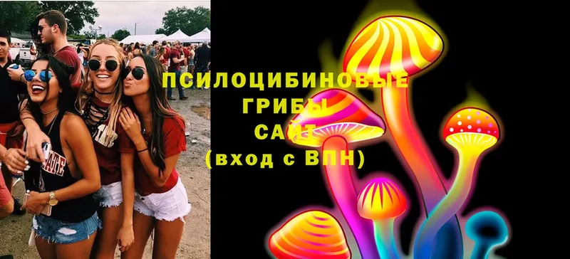 Галлюциногенные грибы MAGIC MUSHROOMS  купить наркотики цена  Завитинск 